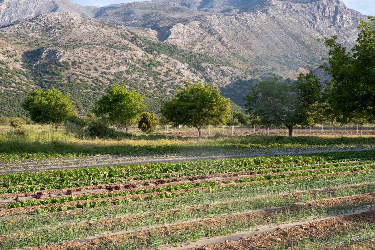 Vasilikata Διαμέρισμα Άγιος Κωνσταντίνος Εξωτερικό φωτογραφία
